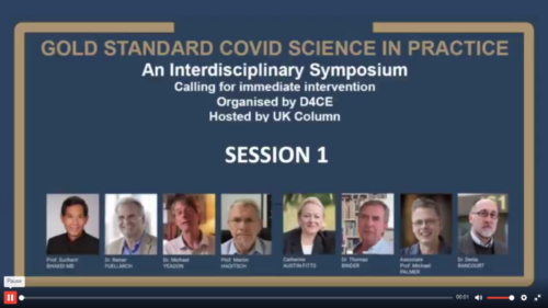 Doctors for Covid Ethics Symposium - Session 1 of Symposium 1 from 29-30 July 2021